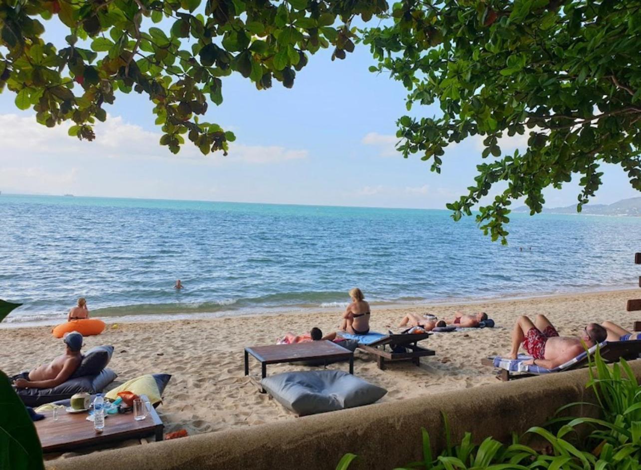 Chill Inn Lipa Noi Hostel And Beach Cafe لكوه ساموي المظهر الخارجي الصورة